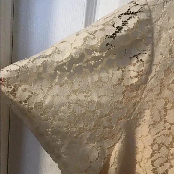 Cream Boxy Blouse with Flutter Sleeves - Picture 3 of 7